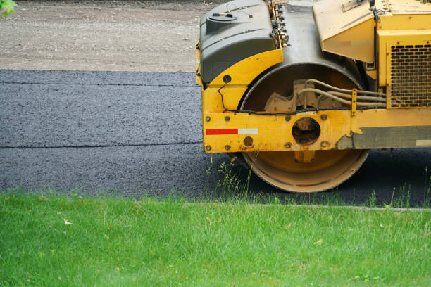 Best Residential Paver Driveway  in St Hedwig, TX
